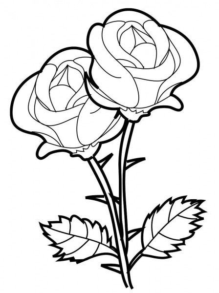 Desenhos De Rosas Para Imprimir E Colorir