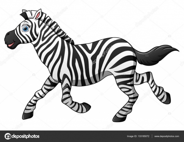 Desenho De Zebra Feliz Correndo â Vetores De Stock Â© Dualoro