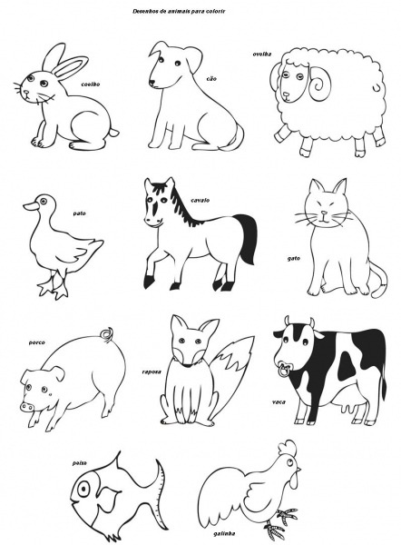 Desenhos De Animais Para Imprimir E Colorir â Pampekids Net