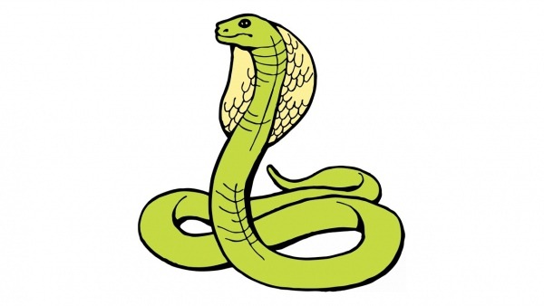 Como Desenhar Uma Cobra (naja, Animais)