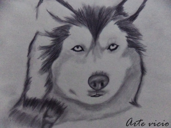 Tutorial ) Como Desenhar Cachorro ~ Arte VÃ­cio