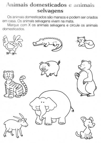Desenhos De Animais Selvagens Para Imprimir