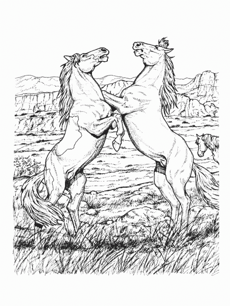 Desenhos De Cavalo Para Imprimir