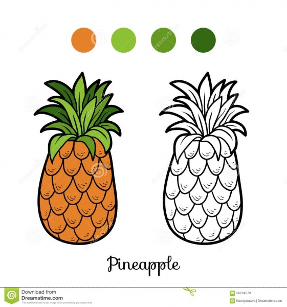 Livro Para Colorir  Frutas E Legumes (abacaxi) IlustraÃ§Ã£o Do Vetor
