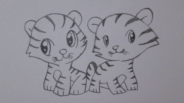 Como Desenhar Tigres