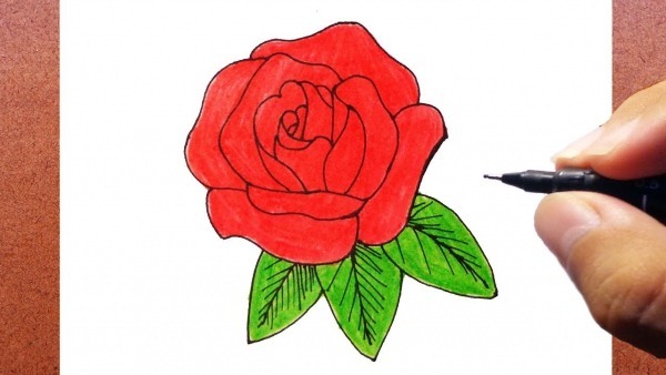 Como Desenhar E Pintar Uma Rosa