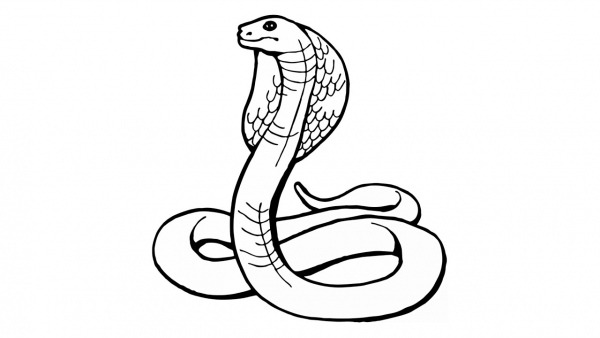 Como Desenhar Uma Cobra (naja, Animais)