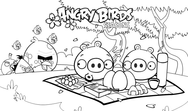 Angry Birds Para Colorir E Imprimir