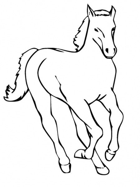 Desenhos De Cavalos Para Imprimir E Colorir