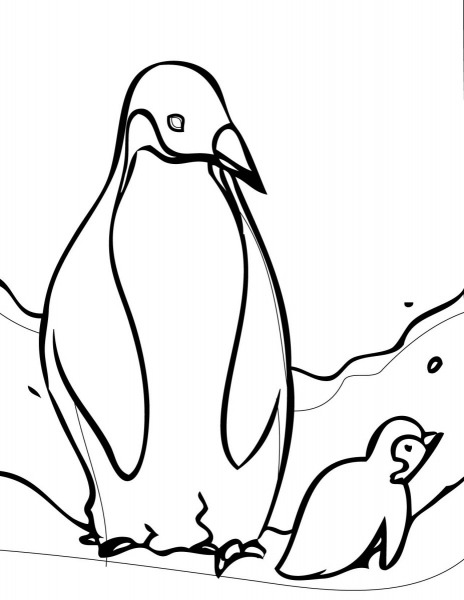 Desenhos Para Colorir De Pinguins  Desenhos De Pinguins Para Pintar