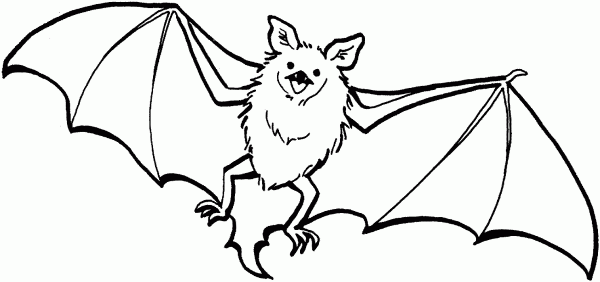 Desenhos De Morcegos Para Imprimir E Colorir