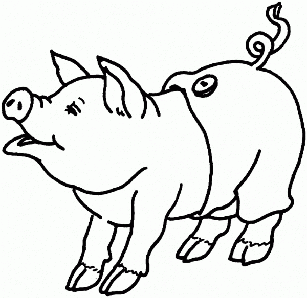 Desenhos Para Pintar De Porcos  Desenhos De Porcos Para Colorir