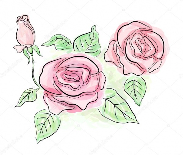 Desenho De Rosas â Stock Photo Â© Solveig  11760479