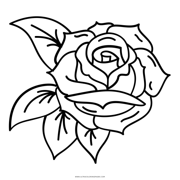Desenhos Para Colorir De Rosas