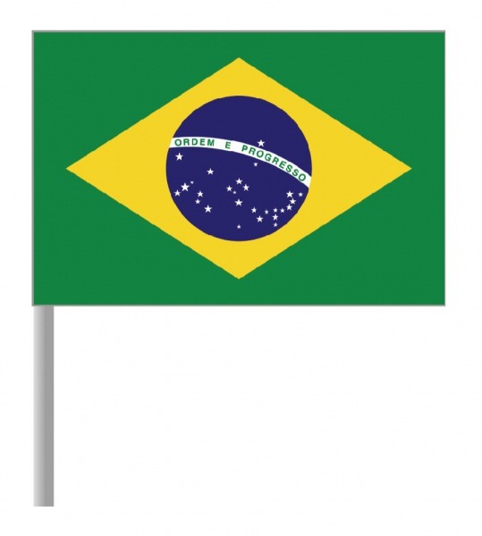 Bandeira Do Brasil Para Imprimir E Montar