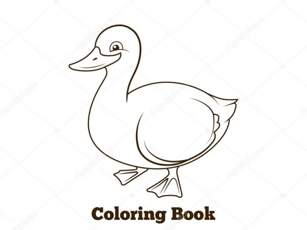 Colorir Desenhos Animados Pato Do Livro Educacional â Vetor De