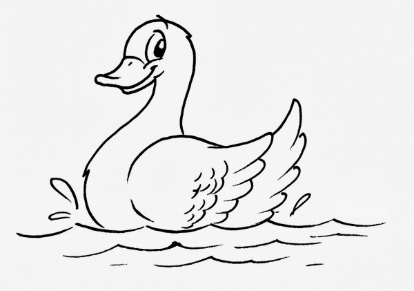 Desenho De Pato Nadando Para Colorir â Pampekids Net