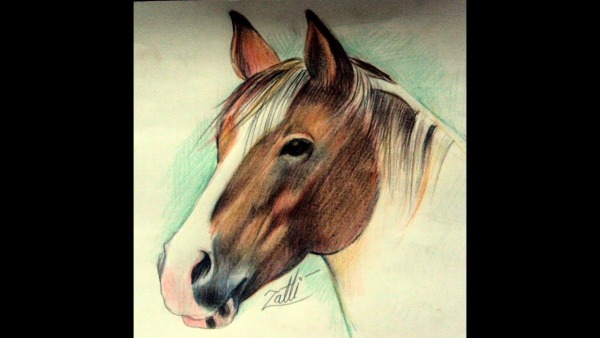 Como Desenhar E Colorir Um Cavalo