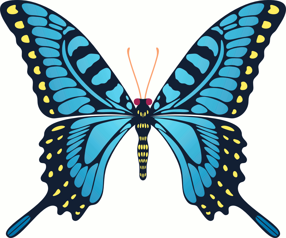 Aki Gifs  Butterfly