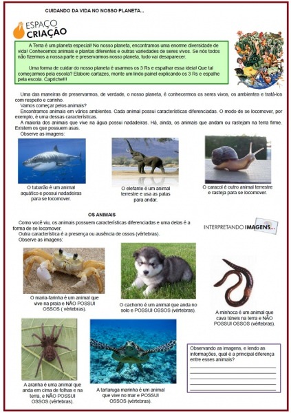 Animais Vertebrados E Invertebrados