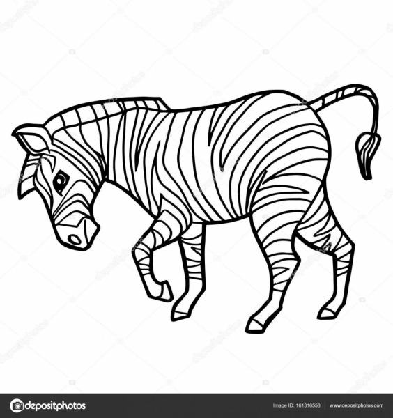 Desenhos Animados Zebra Bonito Colorir Vetor De PÃ¡gina  â Vetores