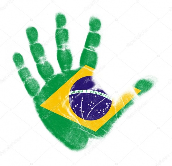 Palma De Bandeira Do Brasil Imprimir Isolado No Fundo Branco