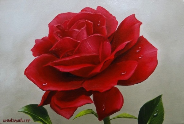 Como Pintar Uma Rosa Vermelha