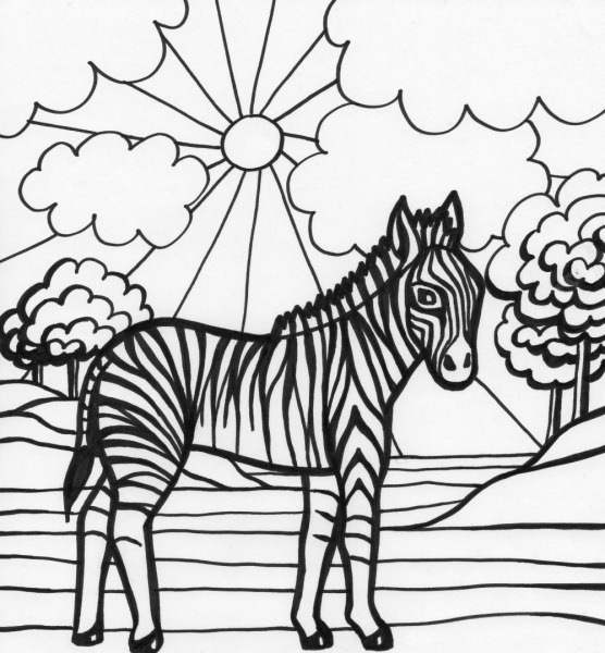 Desenho De Zebra Na Floresta Africana Para Colorir