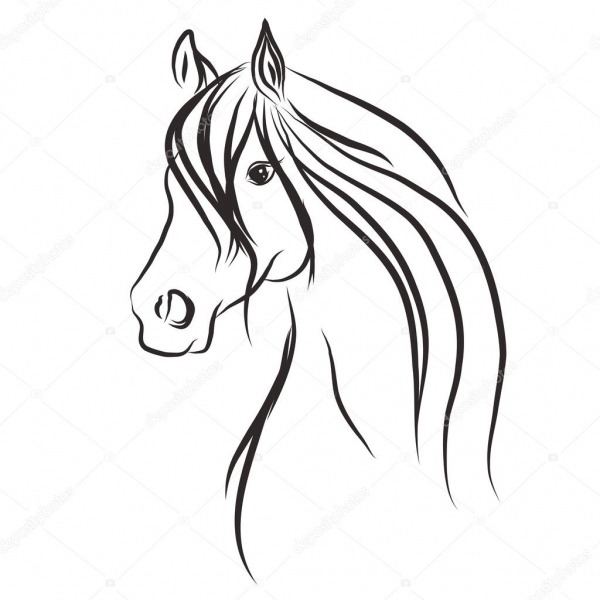 Desenhos De Cavalo Para Colorir