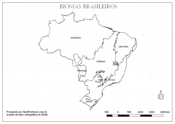 Mapa Biomas Brasileiros Colorir â Nerd Professor