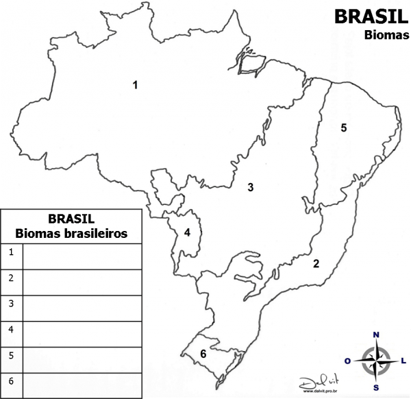 30 Mapas Do Brasil Para Colorir E Imprimir
