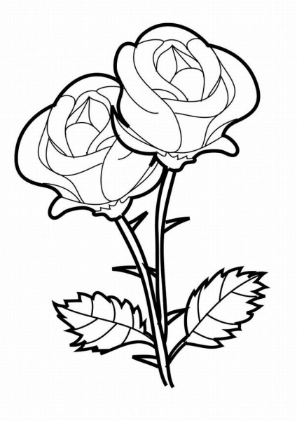 Desenhos De Rosas Para Colorir E Imprimir