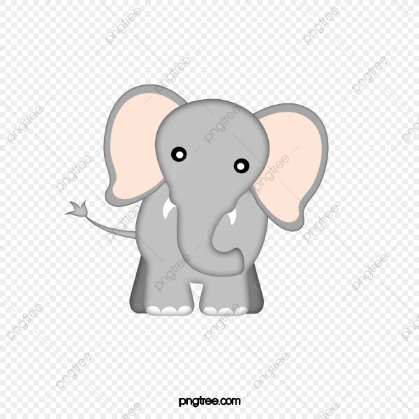 Lindo Elefante, O Elefante Fica , O Elefante, Desenho De Elefante