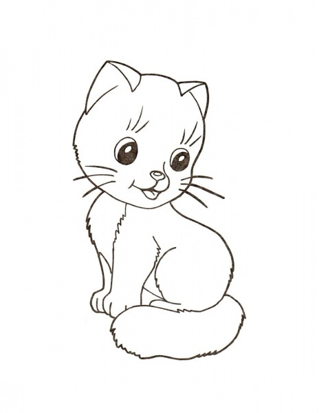 Desenhos De Gatos Para Imprimir E Colorir