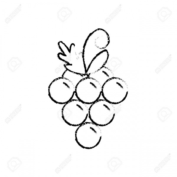 Figura IlustraciÃ³n De Vector De Fruta De Uva Deliciosa Y Saludable