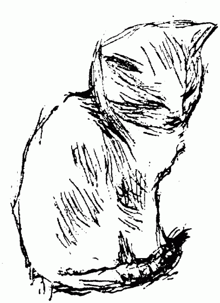 Pz C  Desenhos De Gatos