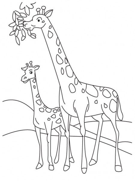 Desenhos Para Colorir De Animais Girafa
