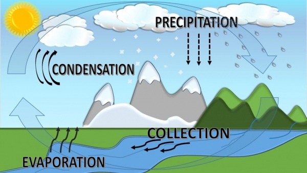 Water Cycle For Children With Song, Ciclo Del Agua En InglÃ©s Para