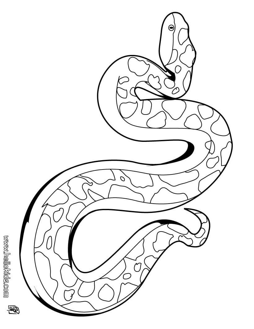 Featured image of post Desenho De Cobra Para Colorir E Imprimir Desenhos do dragon ball z para colorir e imprimir clique para mais desenhos de